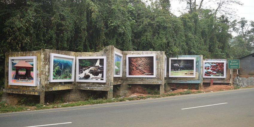 Stay at some of the comfortable resorts and homestays while camping in Wayanad, Kerala.