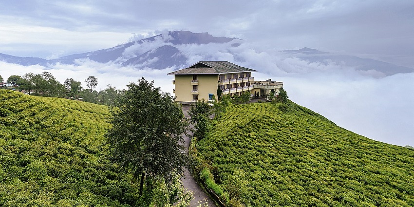 A resort in the middle of a tea estate in Sikkim