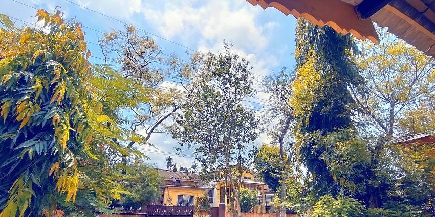 From homestays to hotels, there are many accommodation options near Digboi Museum.