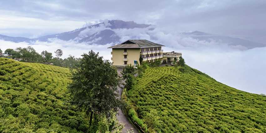 A picture of a resort built on top of a hill with tea gardens in the nearby suroundings