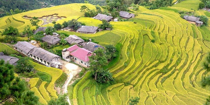 From homestays to luxurious hotels, there are many accommodation options in Nagaland.