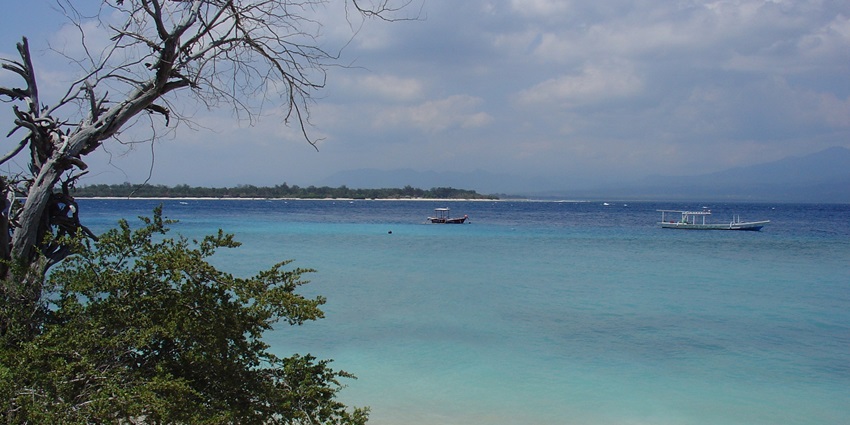 A picture taken from a resort of a beach with a tree and sea in sight