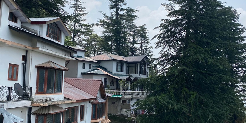 A fascinating view of a hotel in Shimla surrounded by lush greenery during the day.