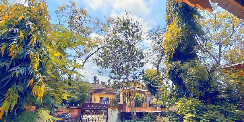 A stunning view of a yellow and brown house through lush green trees during the daytime.