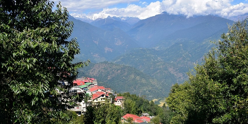 A stunning view of hotels in Sikkim surrounded by lush green trees during the daytime.
