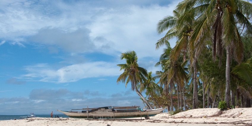 A glimpse of pristine white sands of White Sand Beach fringed with tall palm trees.