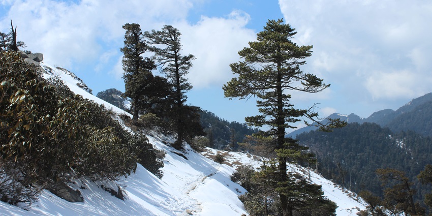 Scenic snapshot of the beautiful wildlife sanctuary covered in the thick layer of ice