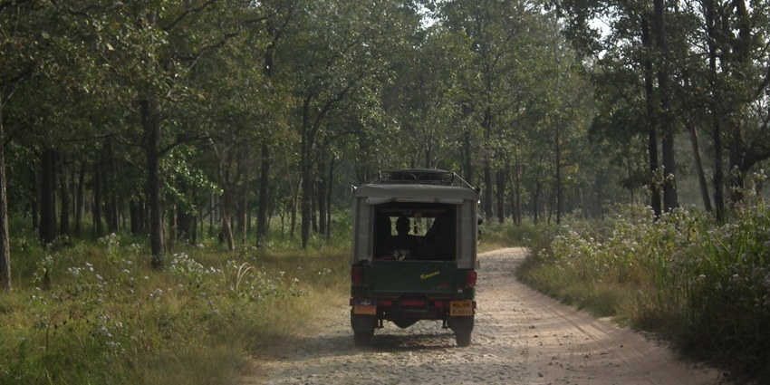 A jeep Patrolling the jungle on a scenic Jungle Safari - Clouded Leopard National Park