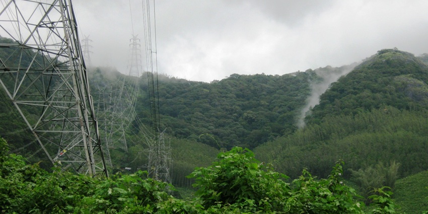 A view of the Shendurney Wildlife Sanctuary featuring lush green vegetation.