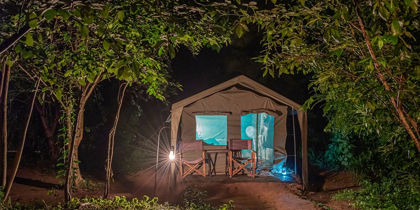 For a Sri Lanka safari booking, make sure to check out Wilpattu National Park