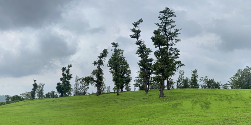 Wilson Hills is among the places to visit near Silvassa for those who want tranquility.