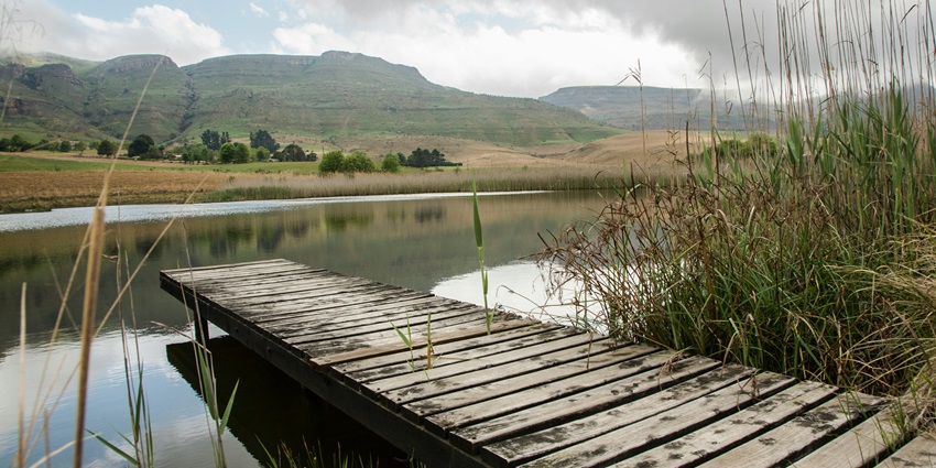 A serene wooden dock extends over a calm lake, surrounded by lush greenery and trees.
