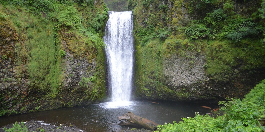 Zanibu Peak Fall in Nagaland with water cascading dramatically down a rugged cliff.