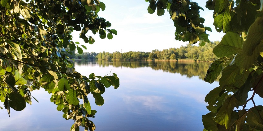 A view of a sparkling lake in the middle of a lush green forest during the daytime.