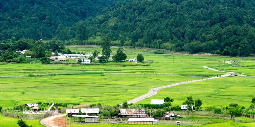 The scenic snapshot of the beautiful valley of the Ziro covered in lush vegetation