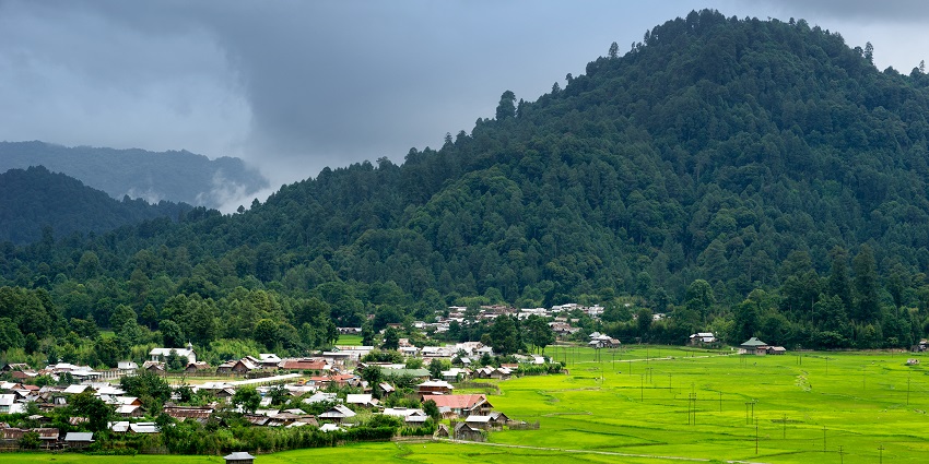 A picture of a valley in Arunachal Pradesh with a mountain in the background