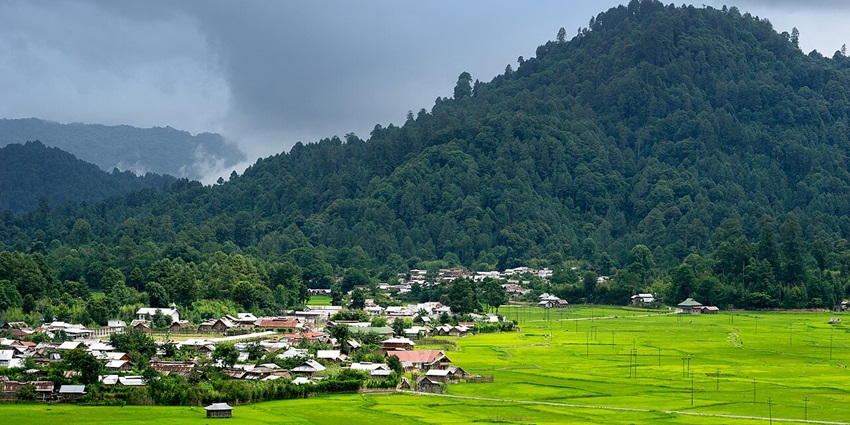 Image of a cross section of luch green valley of Ziro. The presence of local hoses gives a different look