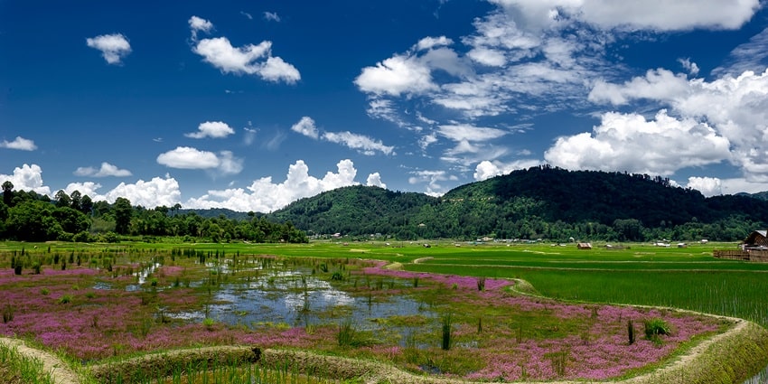 The best time to explore this attraction of Arunachal Pradesh is during the summer season.