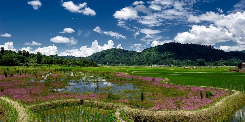 Verdant fields with vibrant flowerbeds with hills far ahead, a scenic view of the valley