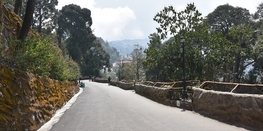 Padmaja Naidu Himalayan Zoological Park, Darjeeling Zoo - places to visit near the Museum