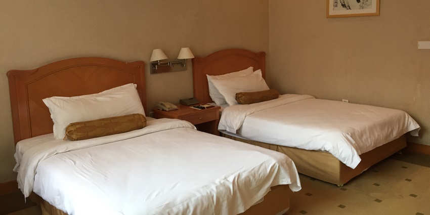 Hotels near the Martand Sun temple offer variety of services to ensure tourist's comfortable stay