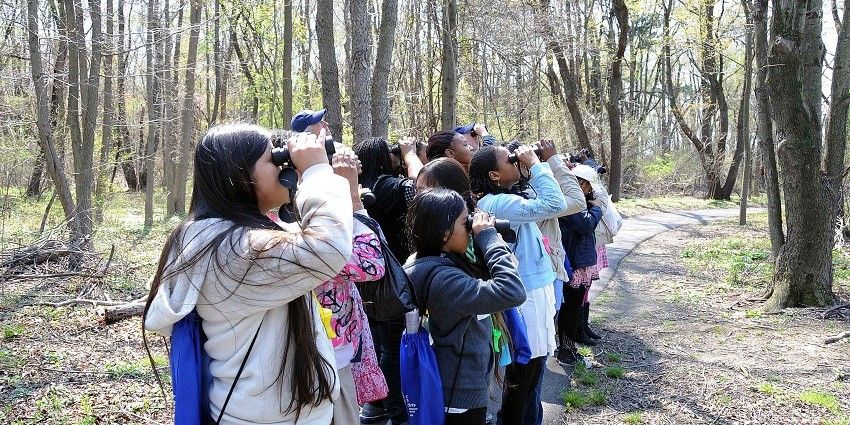 With plenty of avian species, this place is best to enjoy activities like bird watching.