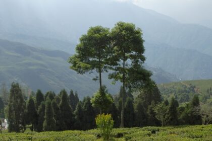 A quaint hill station in West Bengal