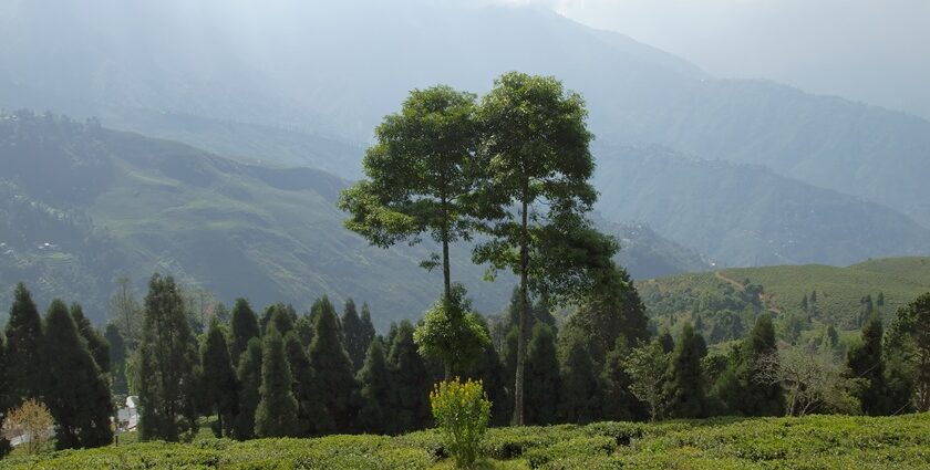 A quaint hill station in West Bengal