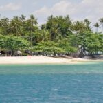 A picture of a beach at Gili islands with tall pine trees and a hut-shaped resort at the shore