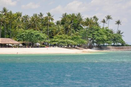 A picture of a beach at Gili islands with tall pine trees and a hut-shaped resort at the shore