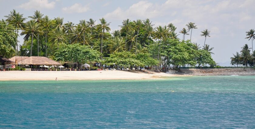 A picture of a beach at Gili islands with tall pine trees and a hut-shaped resort at the shore