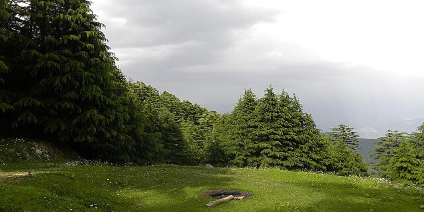 Picturesque views the surrounding from the hilltop of the Dhauladhar Wildlife sanctuary