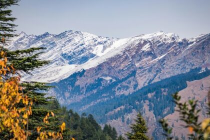 Explore the breathtaking natural scenery of the places to visit near Dharamshala