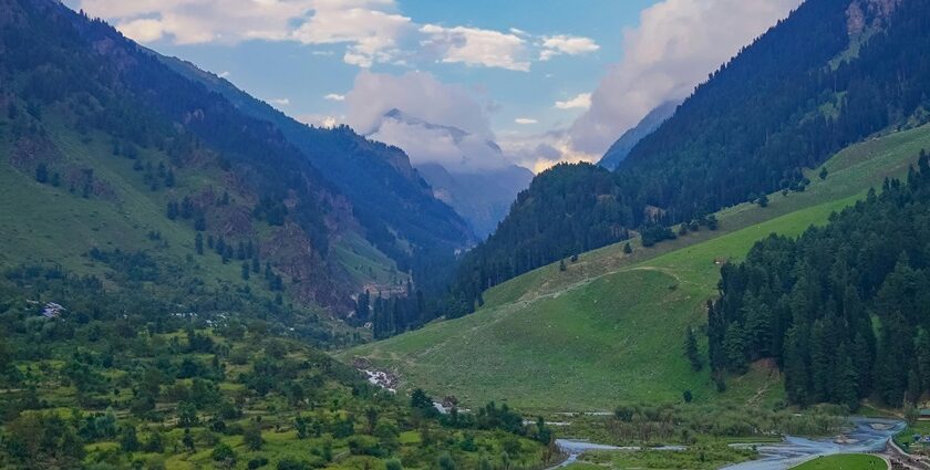 A mesmerising view of a lush green valley in Kashmir with mountains in the backdrop.