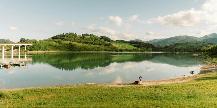 Beautiful Dumboor Lake amidst the lush dense forest of the beautiful Gomati district