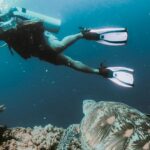 Snapshot of a underwater diver taking pic of marine life during scuba diving Vietnam