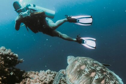 Snapshot of a underwater diver taking pic of marine life during scuba diving Vietnam