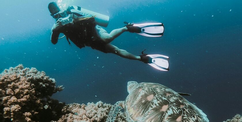 Snapshot of a underwater diver taking pic of marine life during scuba diving Vietnam