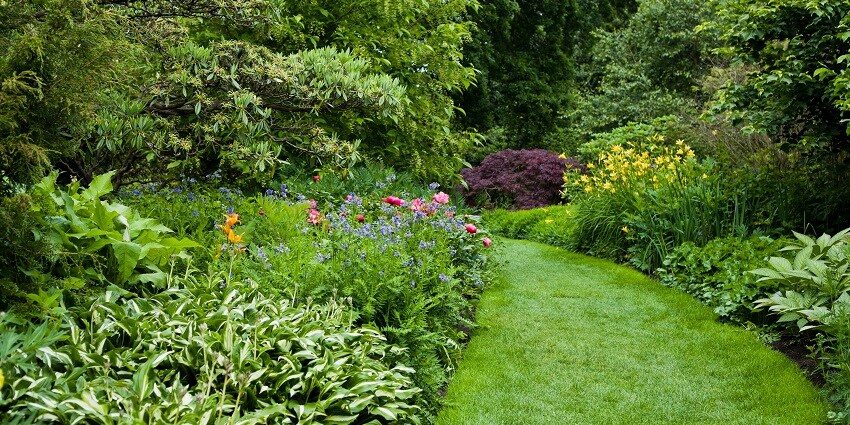 One of the most beautiful botanical gardens situated near Pakhui Wildlife Sanctuary