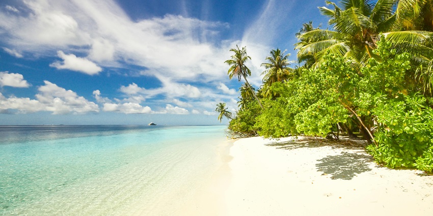 Bright sunny day at the beach with clear skies, soft sand, and calm blue waters.