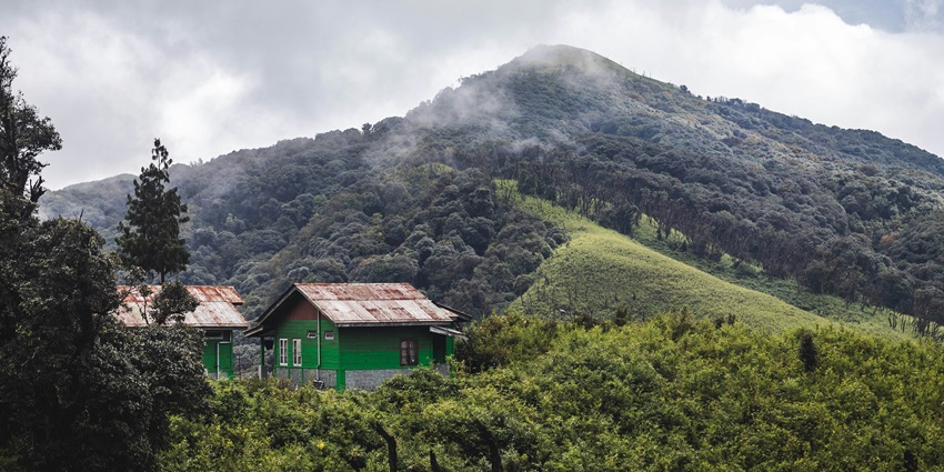A scenic view of Touphema Village covered in nature’s allure, near Intanki National Park.