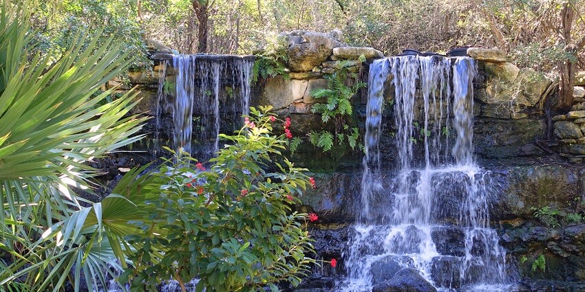 Witness the marvels of Botany like medicinal plants as you explore the national park.