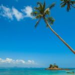 A view of the turquoise-blue waters and pristine golden sands fringed with palm trees.