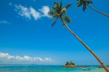 A view of the turquoise-blue waters and pristine golden sands fringed with palm trees.