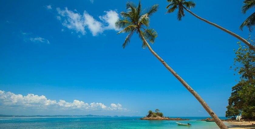 A view of the turquoise-blue waters and pristine golden sands fringed with palm trees.