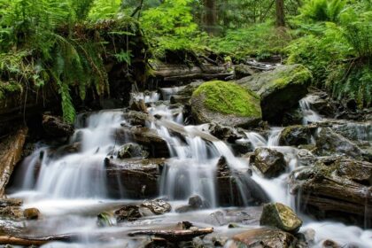 A breathtaking vista of cascading waterfalls passing through the rugged terrains.