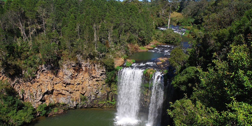 Foamy white water falls into a greenish lake mimicking its green ambience of trees.