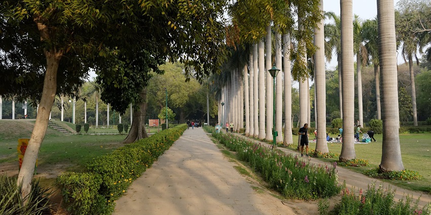 A serene pathway lined with trees in Lodhi Gardens, Delhi, inviting peaceful strolls.