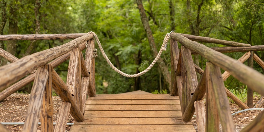 Aapno Ghar is the best place offering both amusement park and resort vibes to visitors.