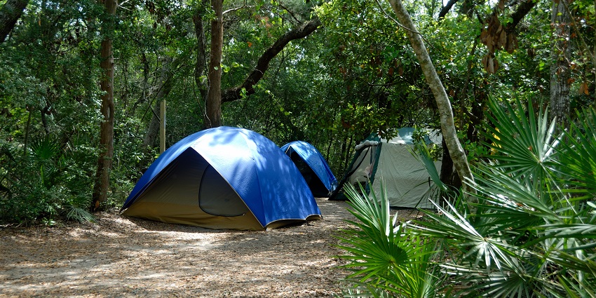 Aarna Wild The Campsite offers serene camping, safaris, and hikes in Mount Abu